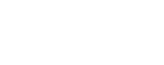 Logo Salute Sports